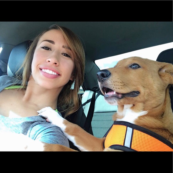 Meet your Posher, Taylor - Picture 1 of 1